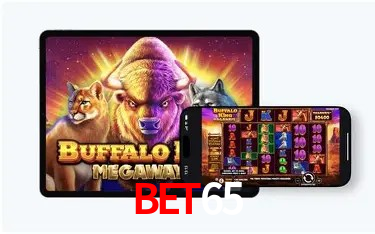Sistemas de Segurança Bet65